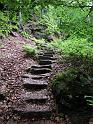 2010-06-12, Uttewalder Grund (22)